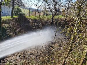 Hochgeladene Bilddatei