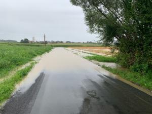 Hochgeladene Bilddatei