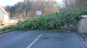 Hochgeladene Bilddatei