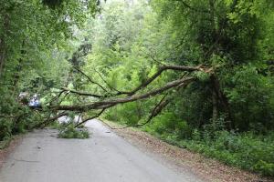 Hochgeladene Bilddatei