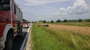 Hochgeladene Bilddatei