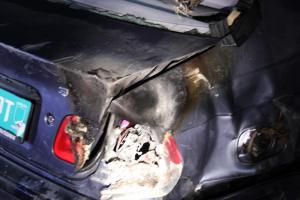 Hochgeladene Bilddatei