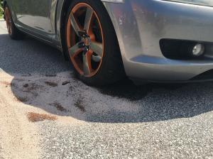 Hochgeladene Bilddatei