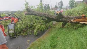 Hochgeladene Bilddatei