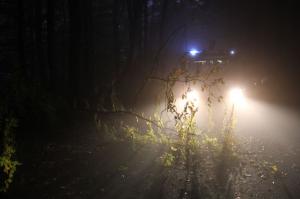 Hochgeladene Bilddatei