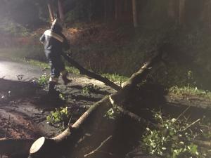 Hochgeladene Bilddatei