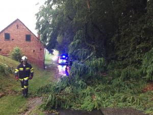 Hochgeladene Bilddatei