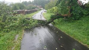 Hochgeladene Bilddatei