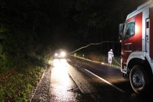 Hochgeladene Bilddatei