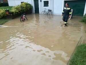 Hochgeladene Bilddatei