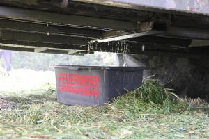 Hochgeladene Bilddatei