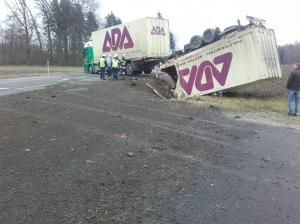 Hochgeladene Bilddatei