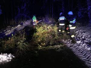 Hochgeladene Bilddatei