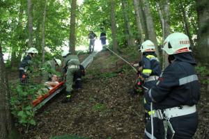 Hochgeladene Bilddatei