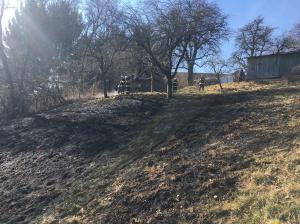 Hochgeladene Bilddatei