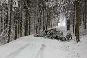 Hochgeladene Bilddatei