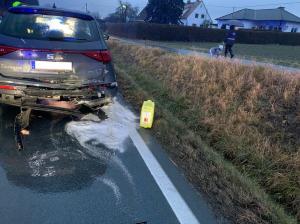 Hochgeladene Bilddatei