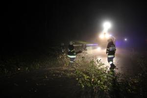 Hochgeladene Bilddatei