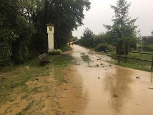 Hochgeladene Bilddatei