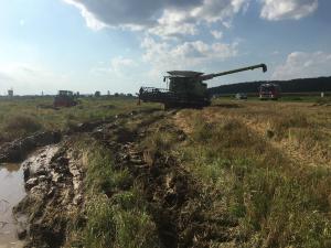 Hochgeladene Bilddatei