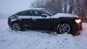 Hochgeladene Bilddatei