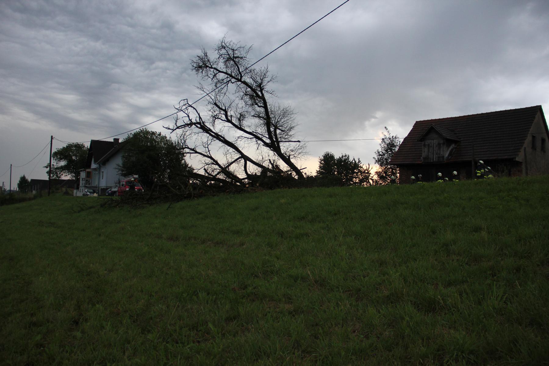 Hochgeladene Bilddatei