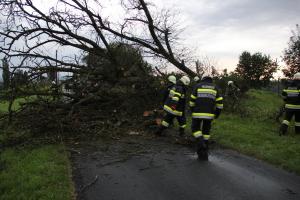 Hochgeladene Bilddatei