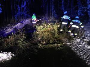 Hochgeladene Bilddatei