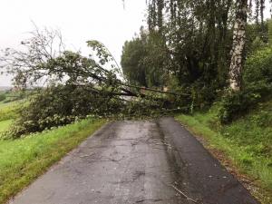 Hochgeladene Bilddatei