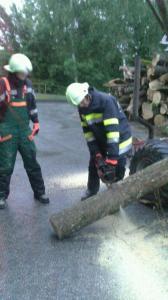 Hochgeladene Bilddatei