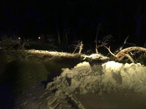 Hochgeladene Bilddatei