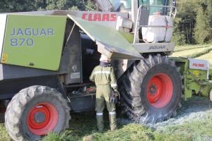 Hochgeladene Bilddatei