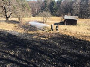 Hochgeladene Bilddatei
