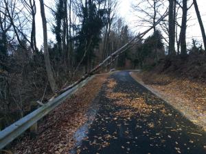 Hochgeladene Bilddatei