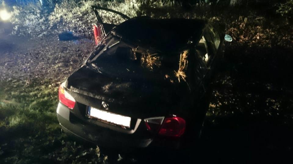 Hochgeladene Bilddatei