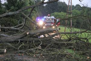 Hochgeladene Bilddatei