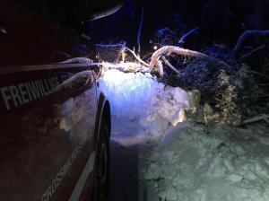 Hochgeladene Bilddatei