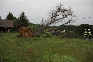 Hochgeladene Bilddatei