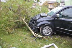 Hochgeladene Bilddatei