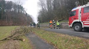 Hochgeladene Bilddatei