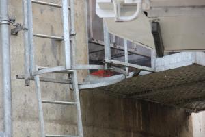 Hochgeladene Bilddatei