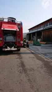 Hochgeladene Bilddatei