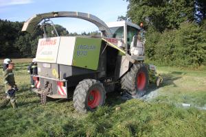 Hochgeladene Bilddatei