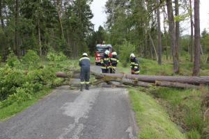 Hochgeladene Bilddatei