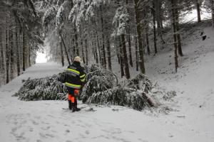 Hochgeladene Bilddatei