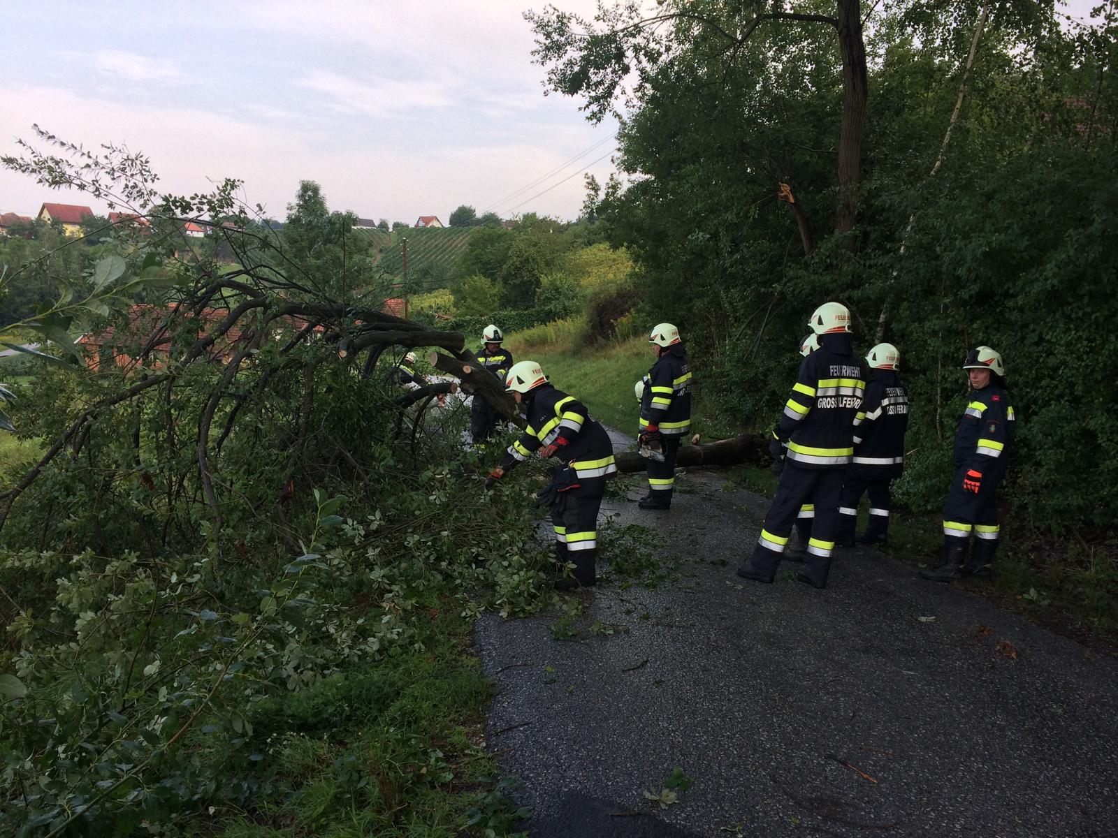 Hochgeladene Bilddatei