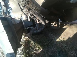 Hochgeladene Bilddatei