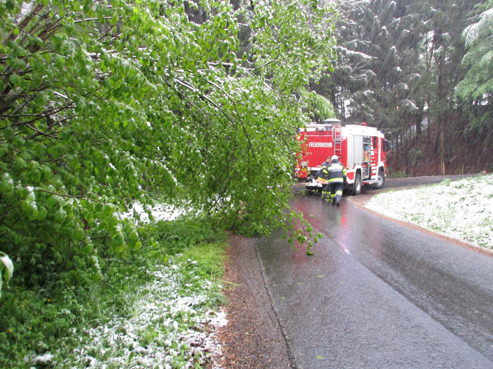 Hochgeladene Bilddatei