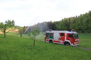 Hochgeladene Bilddatei