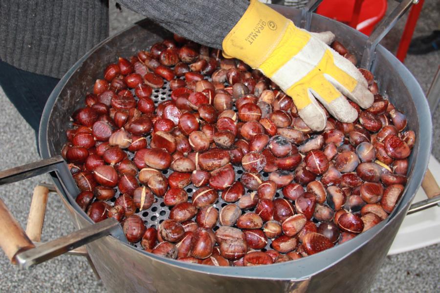 Hochgeladene Bilddatei